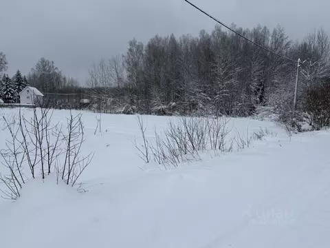 Участок в Владимирская область, Александровский муниципальный округ, ...
