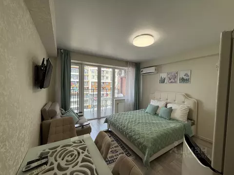 Студия Краснодарский край, Сочи городской округ, Дагомыс пгт ул. ...