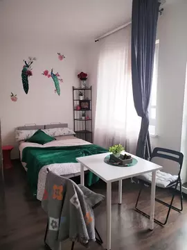 Студия Ленинградская область, Всеволожский район, пос. Бугры бул. ...