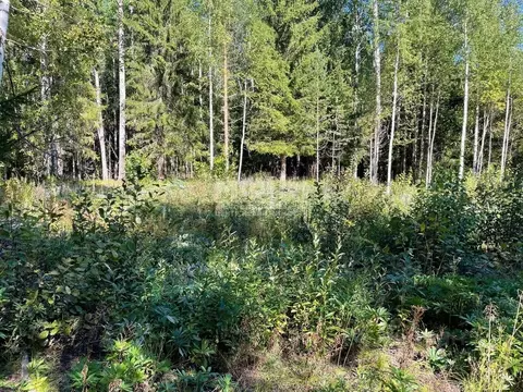 Участок в Карелия, Прионежский район, Нововилговское с/пос, ...