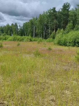 Участок в Московская область, Шатура муниципальный округ, д. Кузнецово ...