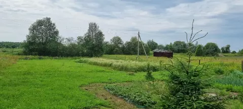 Участок в Вологодская область, Череповецкий район, д. Петраково  (10.0 ...