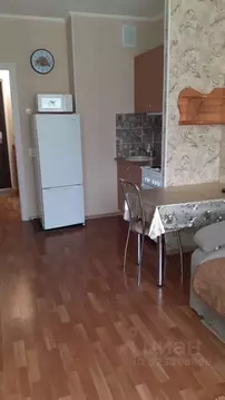 Студия Новосибирская область, Новосибирск ул. Тюленина, 21 (21.0 м)