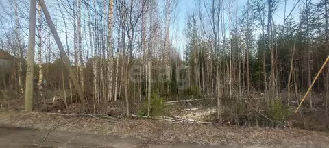 Участок в Коми, Корткеросский муниципальный район, Додзь муниципальное ...