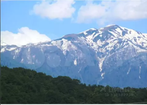 Участок в Краснодарский край, Сочи городской округ, с. Красная Воля ...