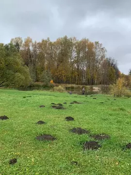 Участок в Московская область, Волоколамский муниципальный округ, д. ...