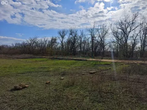 Участок в Красный, Торговая улица, 15 (4 м)