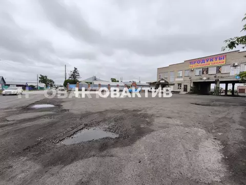 Помещение свободного назначения в Новосибирская область, Карасук ...