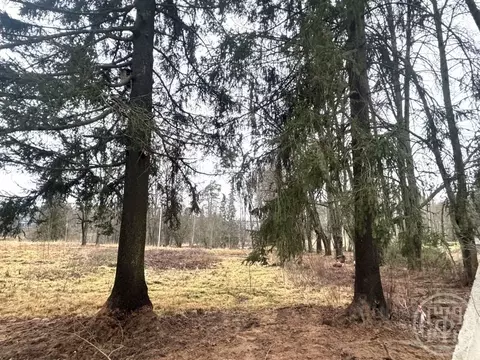 Участок в Ленинградская область, Гатчинский муниципальный округ, ...