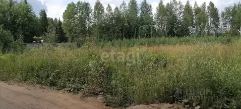 Участок в Коми, Сыктывдинский район, Выльгорт муниципальное ...