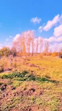 Участок в Пермский край, Пермь  (16.0 сот.)