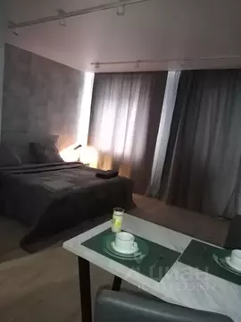 Студия Пермский край, Пермь Пермская ул., 2 (39.0 м)