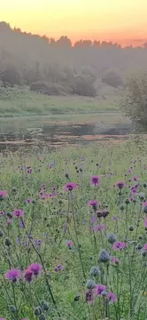 Участок в Московская область, Рузский муниципальный округ, д. Старая ...