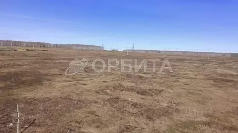 Участок в Тюменская область, Нижнетавдинский муниципальный округ, ...