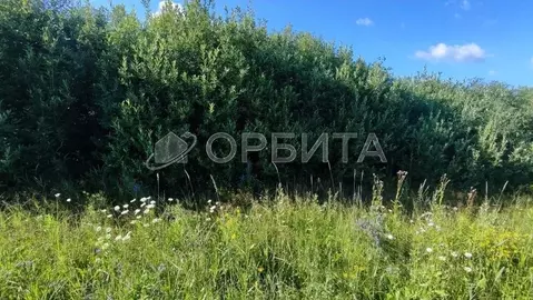 Участок в Тюменская область, Тюменский муниципальный округ, д. Елань  ...