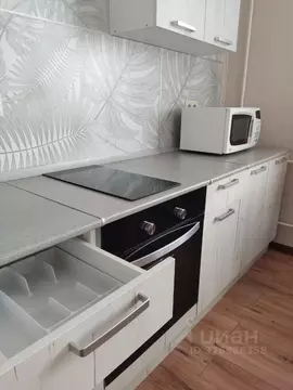 1-к кв. Санкт-Петербург ул. Коллонтай, 14К3 (40.0 м)