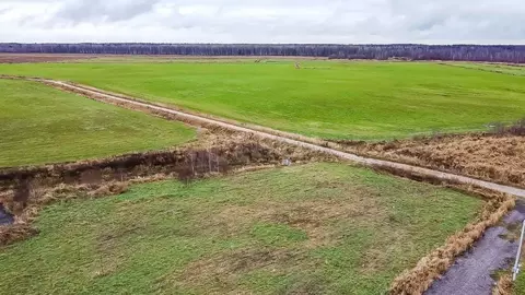 Участок в Ленинградская область, Всеволожский район, Колтушское ...