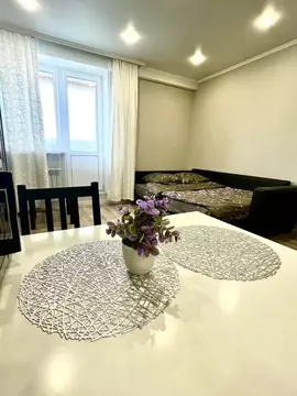 Студия Башкортостан, Уфа ул. Шмидта, 160/1 (35.0 м)