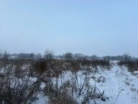 Участок в Московская область, Воскресенск городской округ, д. ...