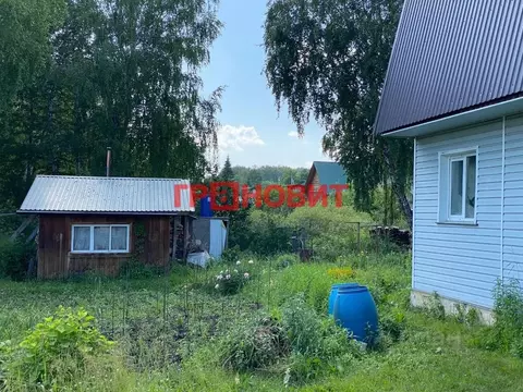 Дом в Новосибирская область, Новосибирск Золотая Горка СНТ, аллея 1А, ...