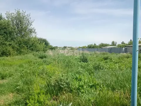 Участок в Белгородская область, Волоконовка рп пл. Центральная (15.0 ...