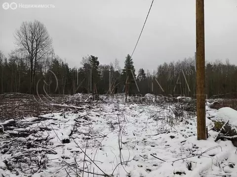 Участок в Приозерский район, Ларионовское сельское поселение, посёлок ...