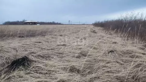 Участок в Тюменская область, Тюмень  (7.55 сот.)