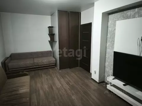 1-к кв. Хабаровский край, Хабаровск Санитарный пер., 3 (42.0 м)