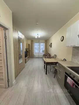 1-к кв. Санкт-Петербург ш. Суздальское, 28к2 (45.0 м)