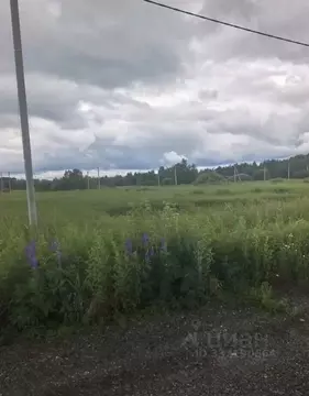 Участок в Московская область, Богородский городской округ, Черновские ...