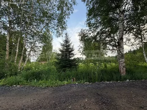Участок в Москва, ТАО, район Бекасово, СНТ Мачихино (6.04 м)