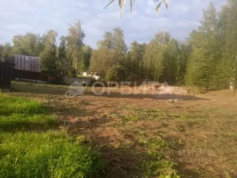 Участок в Тюменская область, Тюменский муниципальный округ, Лесное СНТ ...