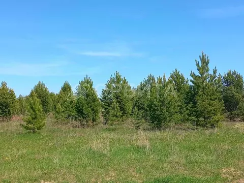 Участок в Тюменская область, Тюменский муниципальный округ, с. ...