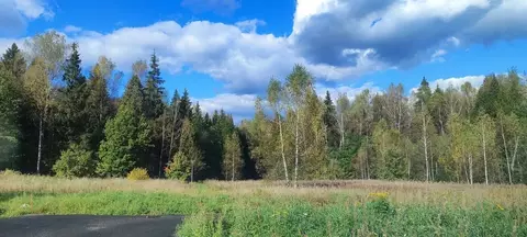 Участок в Московская область, Пушкинский городской округ, с. Ельдигино ...