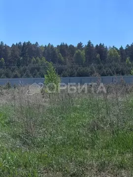 Участок в Тюменская область, Тюменский район, Серебряный бор ТСН ул. ...