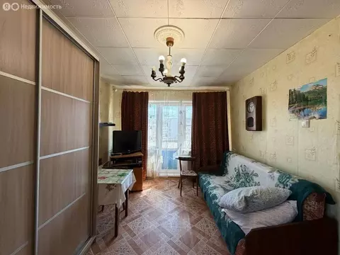 1-комнатная квартира: Сясьстрой, Петрозаводская улица, 1 (30.2 м)