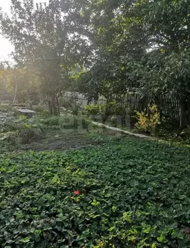 Дом в Волгоградская область, Волжский Мичуринец СНТ, ул. 8-я, 11 (48 ...