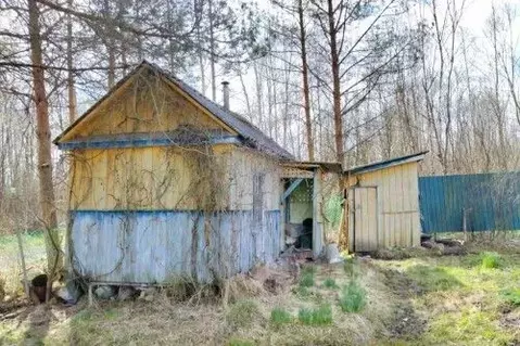 Участок в Новгородская область, Новгородский муниципальный район, ...