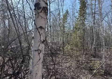 Участок в Саха (Якутия), Якутск проезд Раздольный (8.95 сот.)