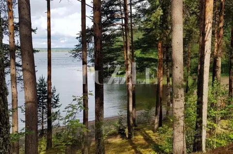 Участок в Ленинградская область, Приозерский район, Петровское с/пос, ...