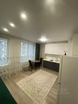 Студия Московская область, Домодедово городской округ, с. Ям ул. ...