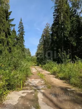 Участок в Московская область, Одинцовский городской округ, д. Сивково, ...