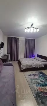 1-к кв. Московская область, Ногинск Богородский городской округ, ул. ...