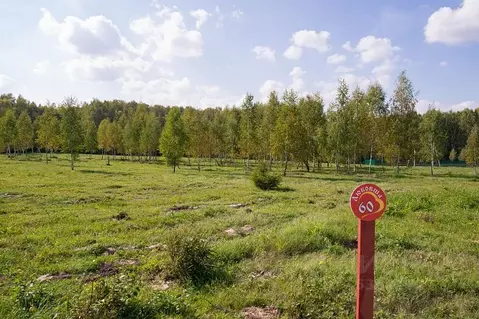 Участок в Тульская область, Заокский район, Демидовское муниципальное ...