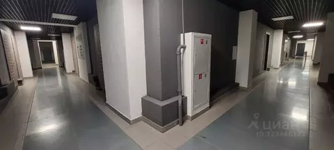 Помещение свободного назначения в Москва Окружной проезд, 16 (1269 м)