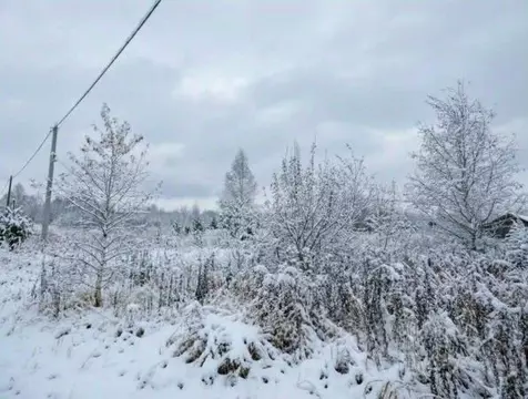 Участок в Тульская область, Заокский район, Малаховское с/пос, ...