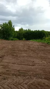 Участок в Ярославская область, Некрасовский муниципальный округ, д. ...