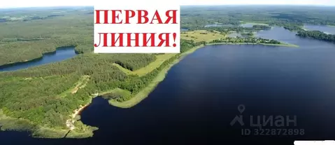 Участок в Тверская область, Осташковский муниципальный округ, д. ...