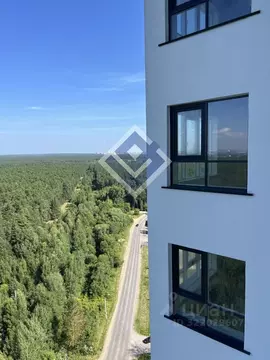 Студия Пермский край, Пермь Ленская ул., 30 (87.0 м)