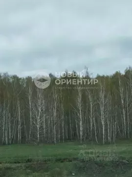 Участок в Свердловская область, Алапаевский район, д. Сохарева ...